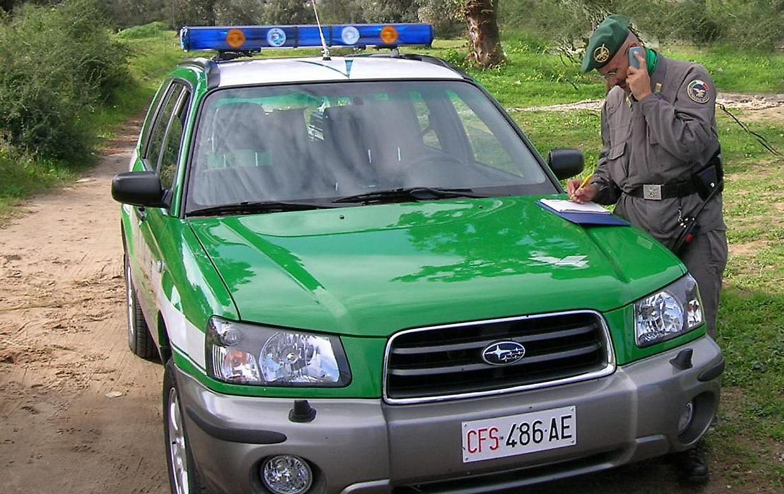 I "rifiuti" della stalla nel torrente: denunciato titolare di azienda zootecnica
