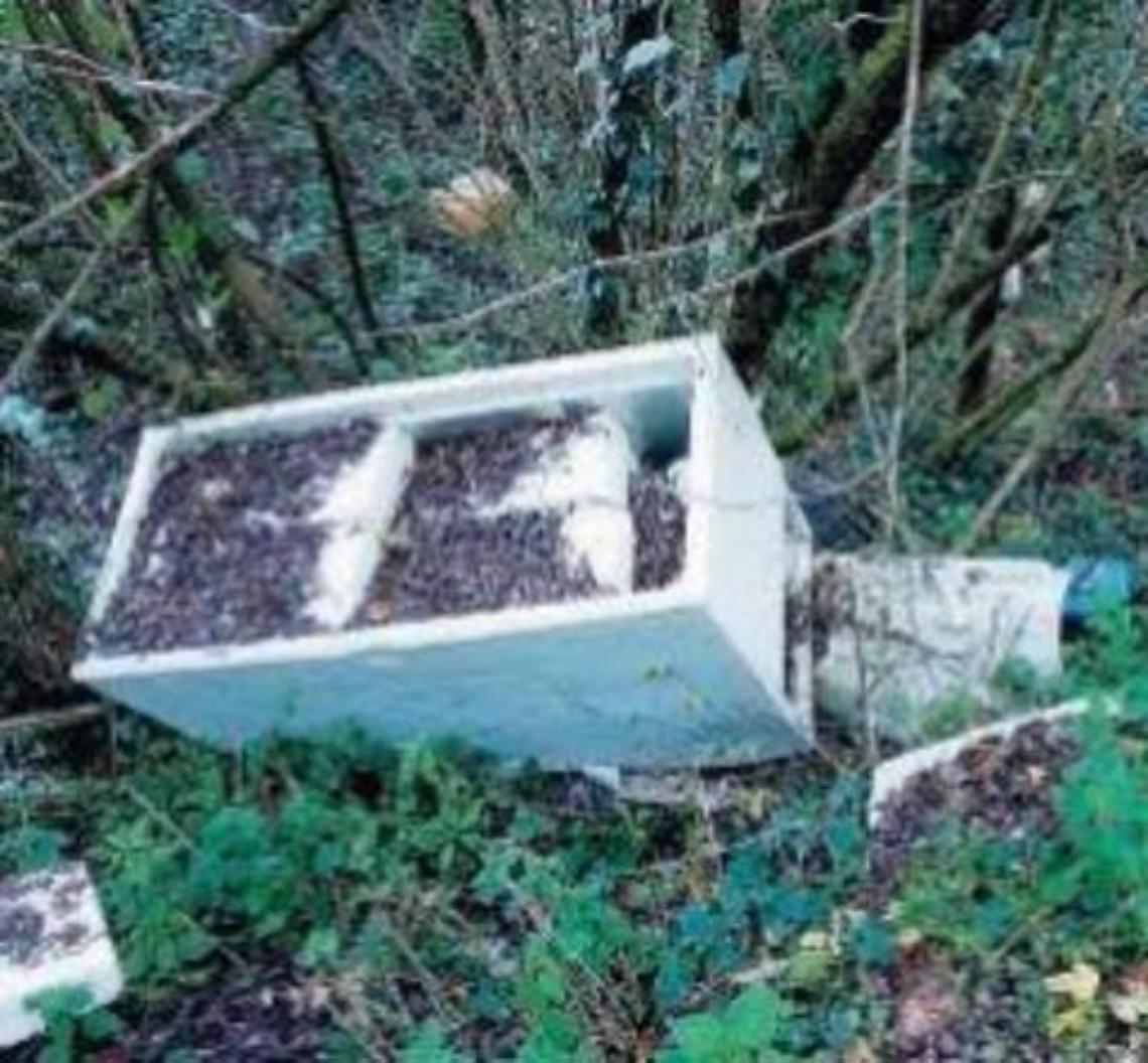 Incivili in azione, rifiuti buttati lungo la strada: urgono le fototrappole