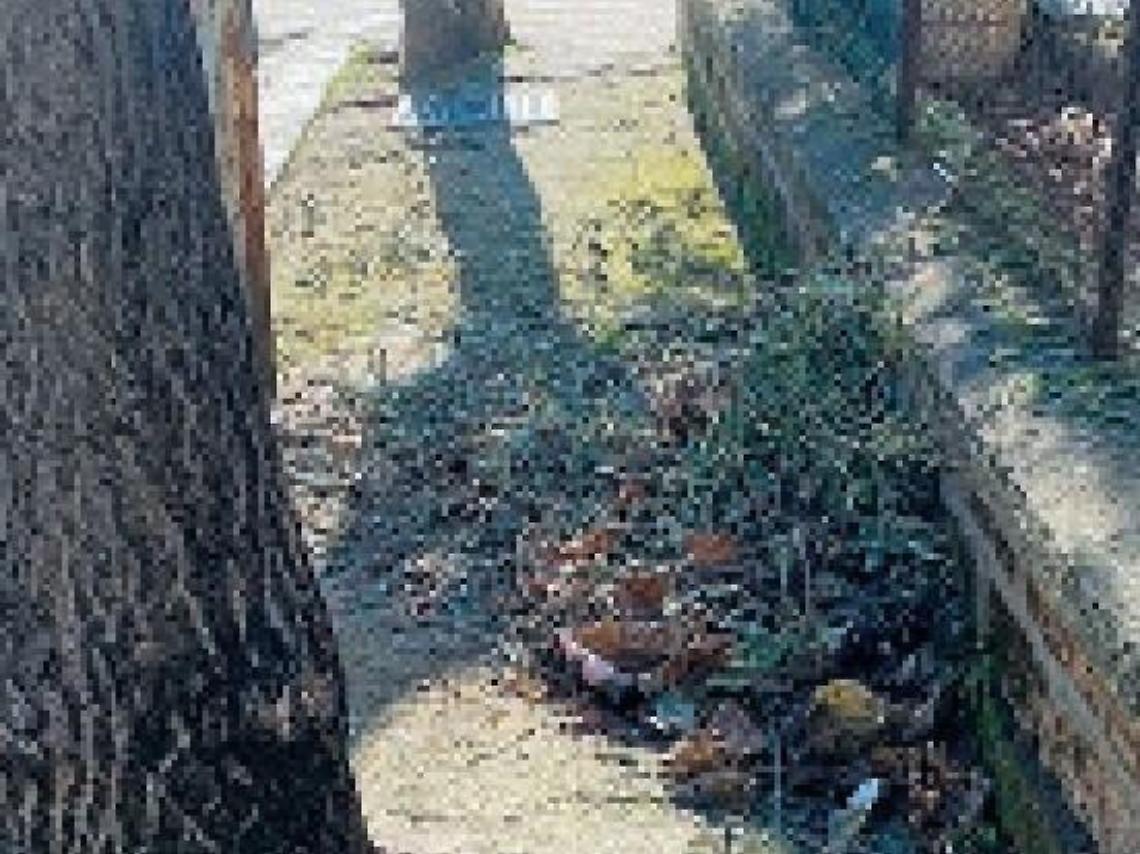 Potano un albero e abbandonano gli sfalci sul marciapiede: passaggio off limits
