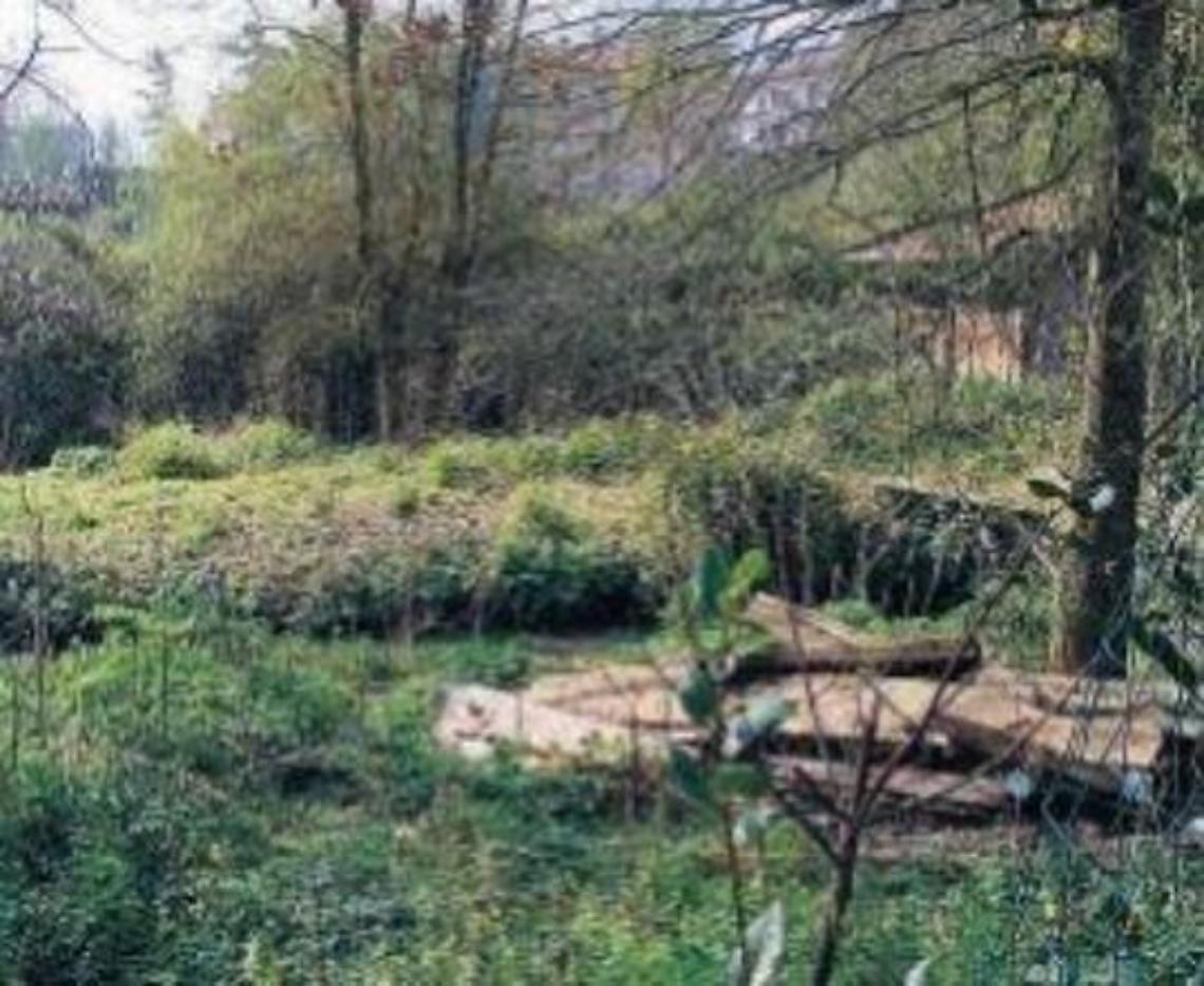 Parco del Gari, le polemiche non si placano: "dove sono finiti gli orti sociali?"
