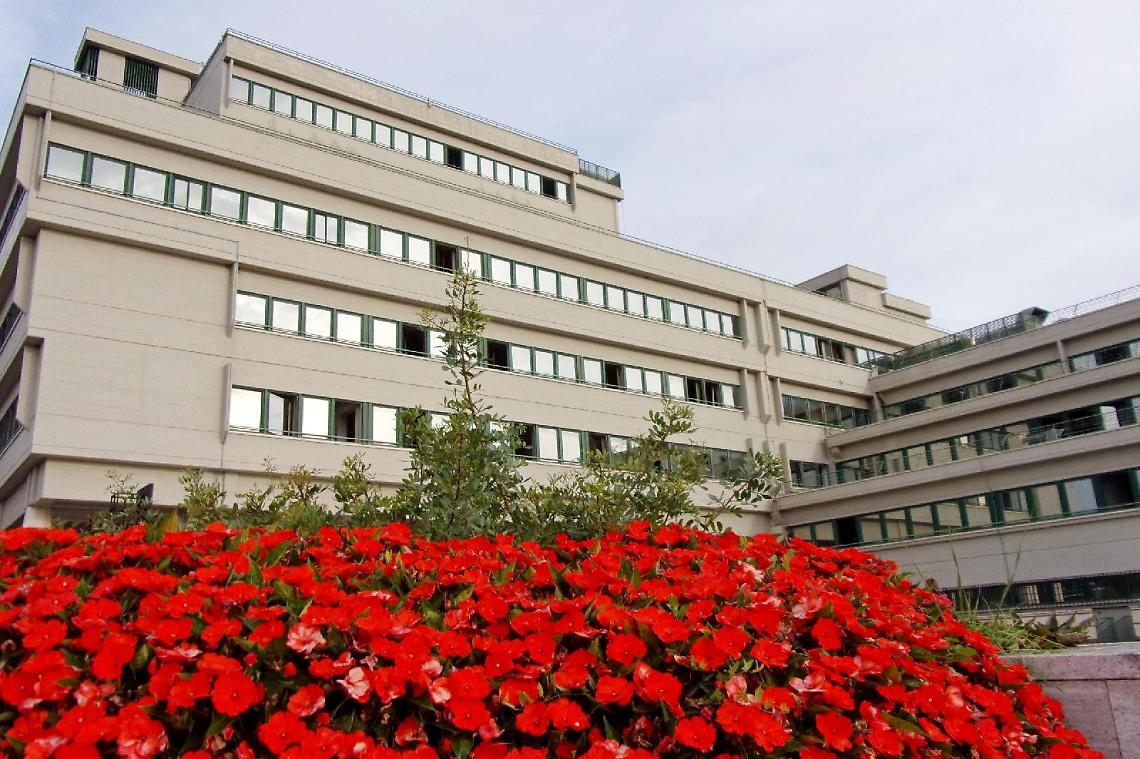 'Pay to drive', patenti facili: in 72 finiscono sotto processo