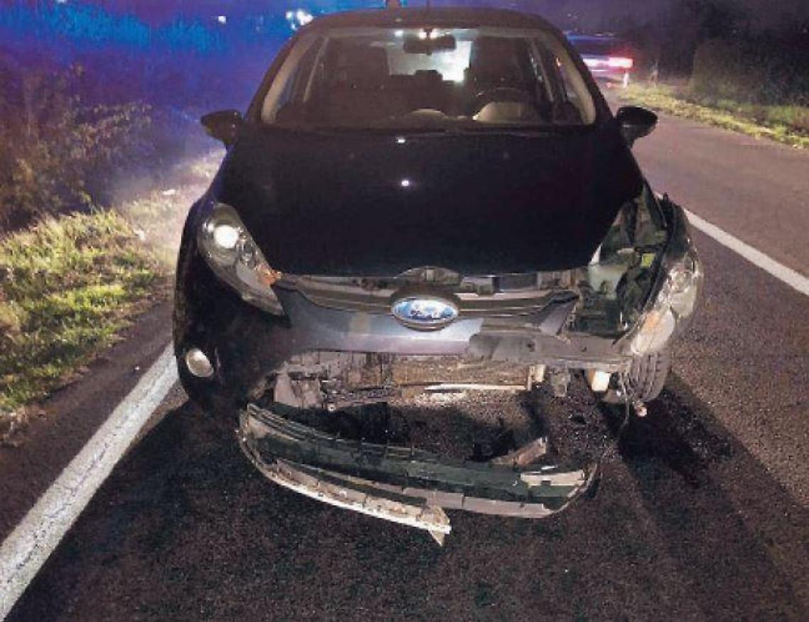 Animali selvatici sulle strade e rischio incidenti: installata la segnaletica