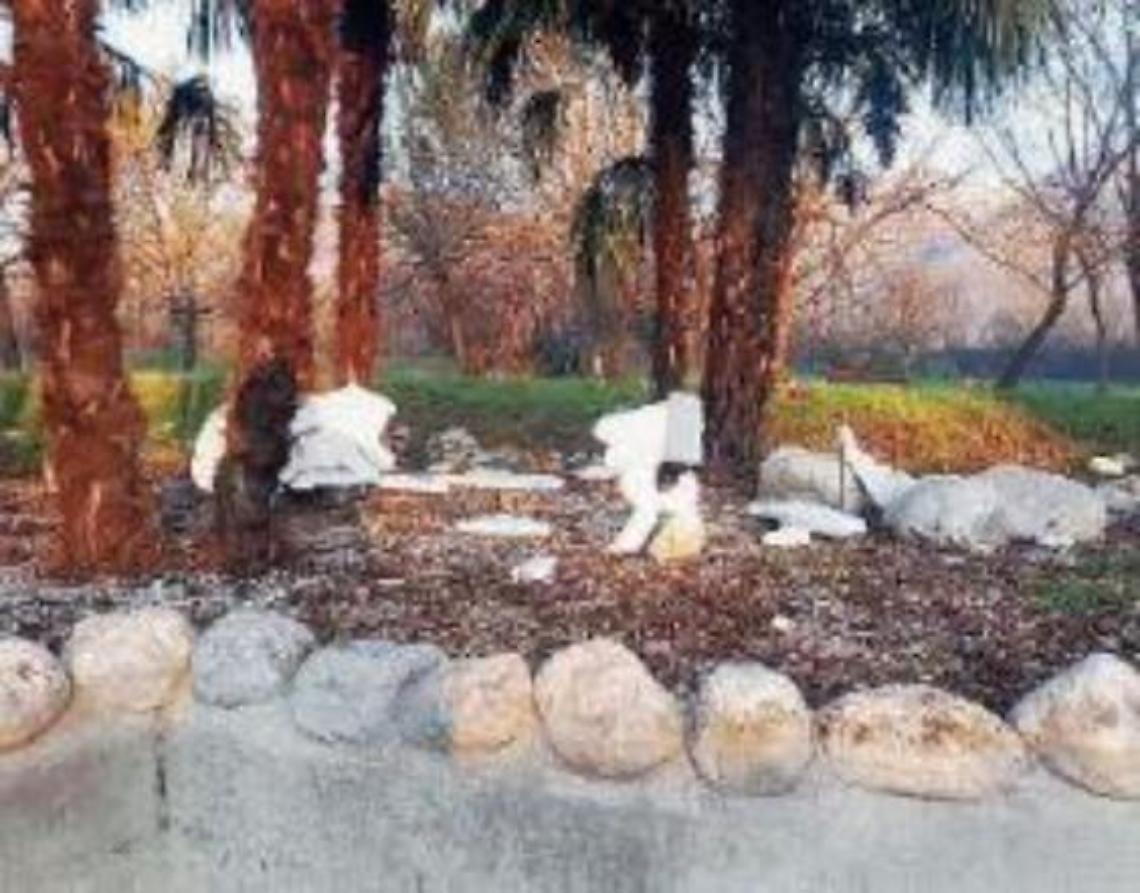 Furioso raid vandalico al parco, distrutto il presepe: sdegno per l'ignobile gesto