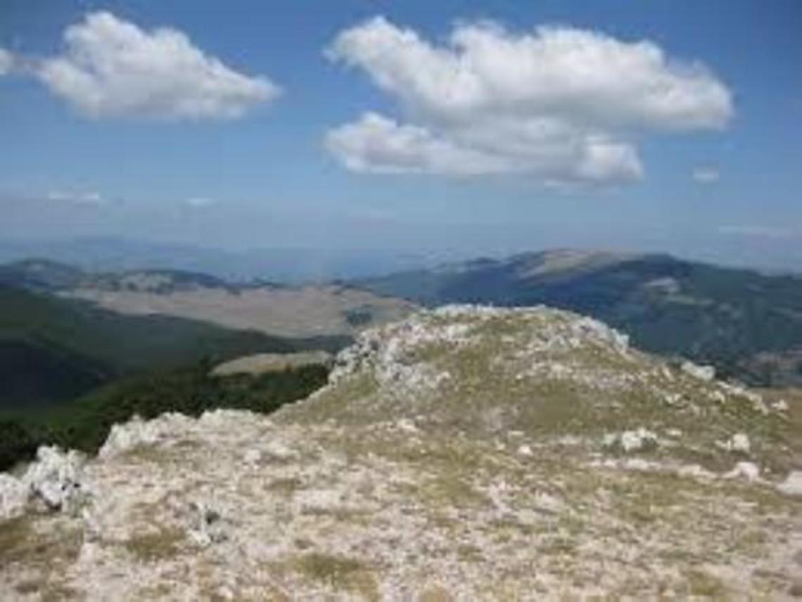 Danni causati dalla fauna selvatica: indennizzi ad allevatori e agricoltori