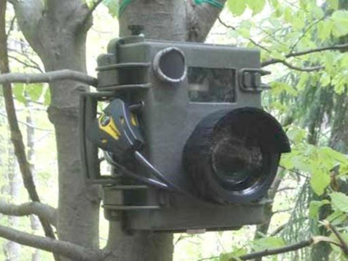 Pugno duro contro ladri e furbetti dei rifiuti: arrivano le fototrappole