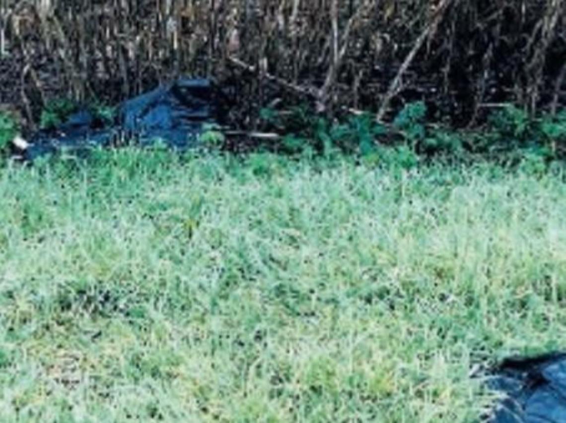 Rifiuti abbandonati lungo il torrente: incivili senza freni dopo le festività