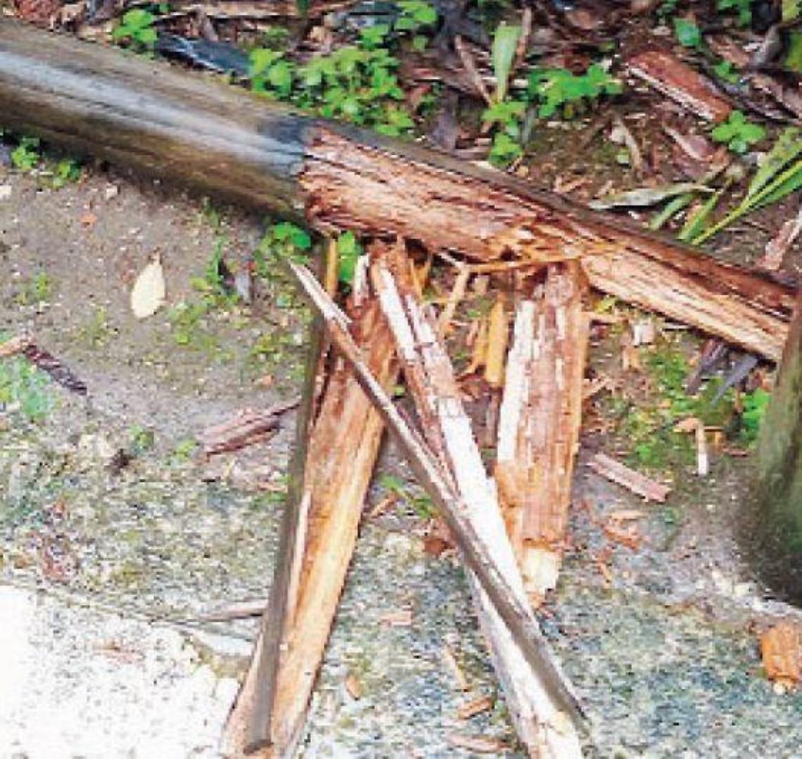 Ferentino, i vandali non vanno in lockdown: altre staccionate distrutte