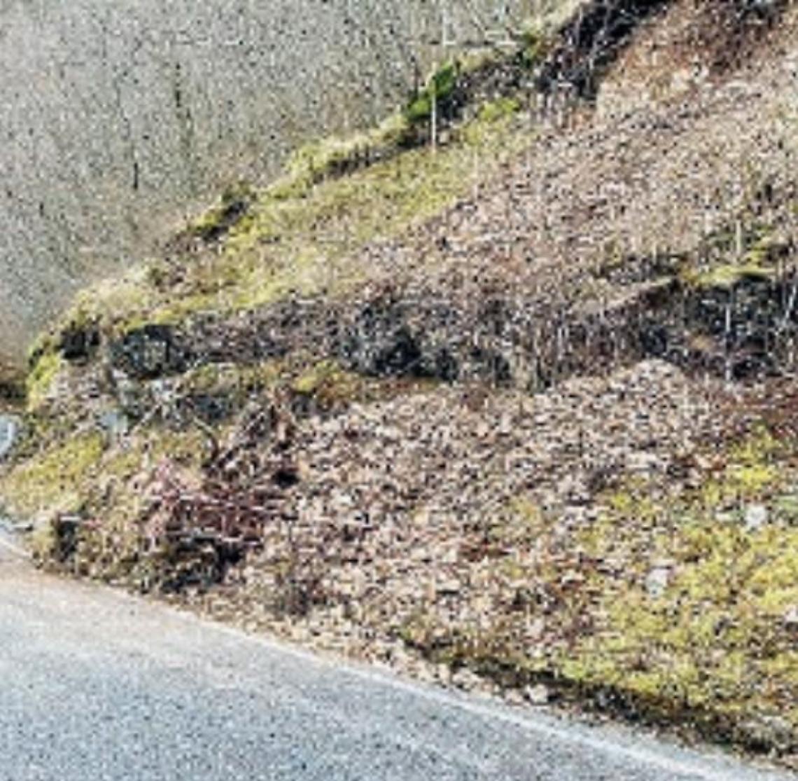 Frana sulla provinciale, massi e alberi si staccano dalla montagna: tragedia sfiorata