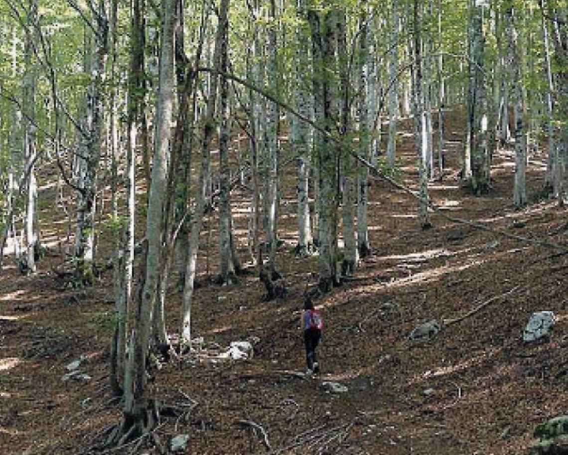 Valcomino, Parco: c'è ma non si vede. Il giallo dell'area contigua