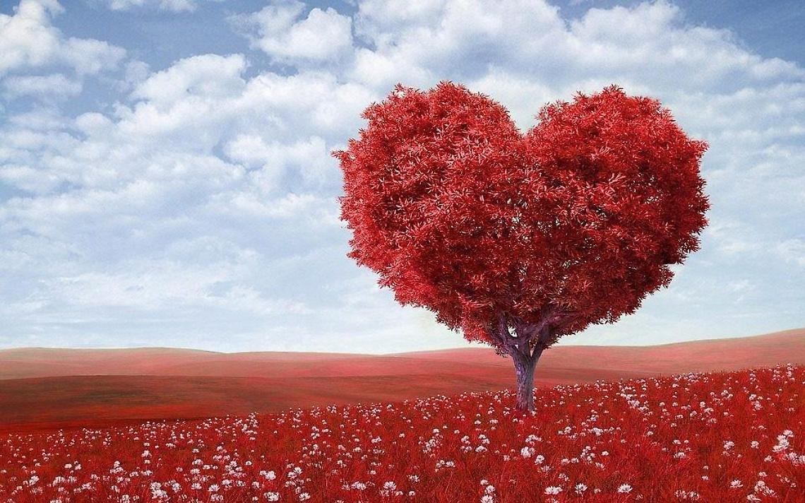 San Valentino nell'era Covid: gli innamorati 'fuggono' negli agriturismi
