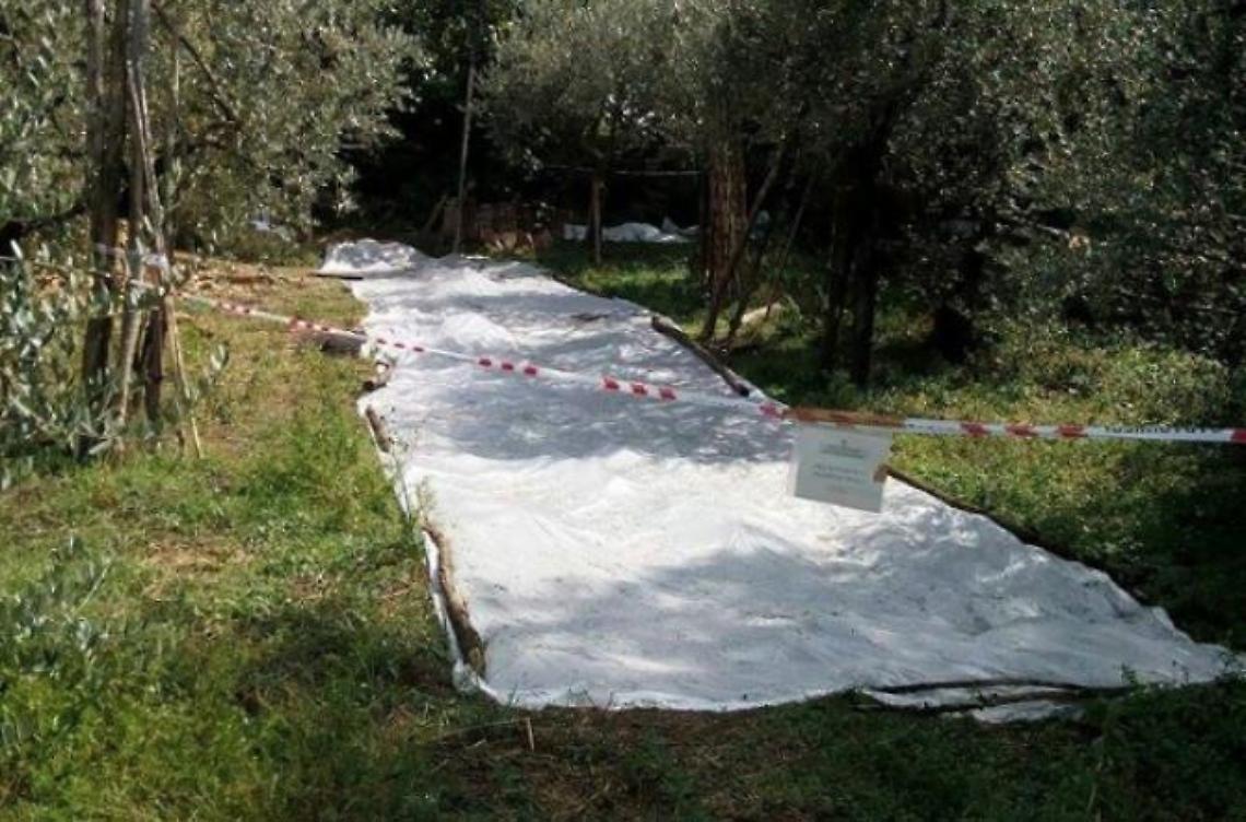 L'assassino di Bondatti <br>&egrave; gi&agrave; agli arresti domiciliari