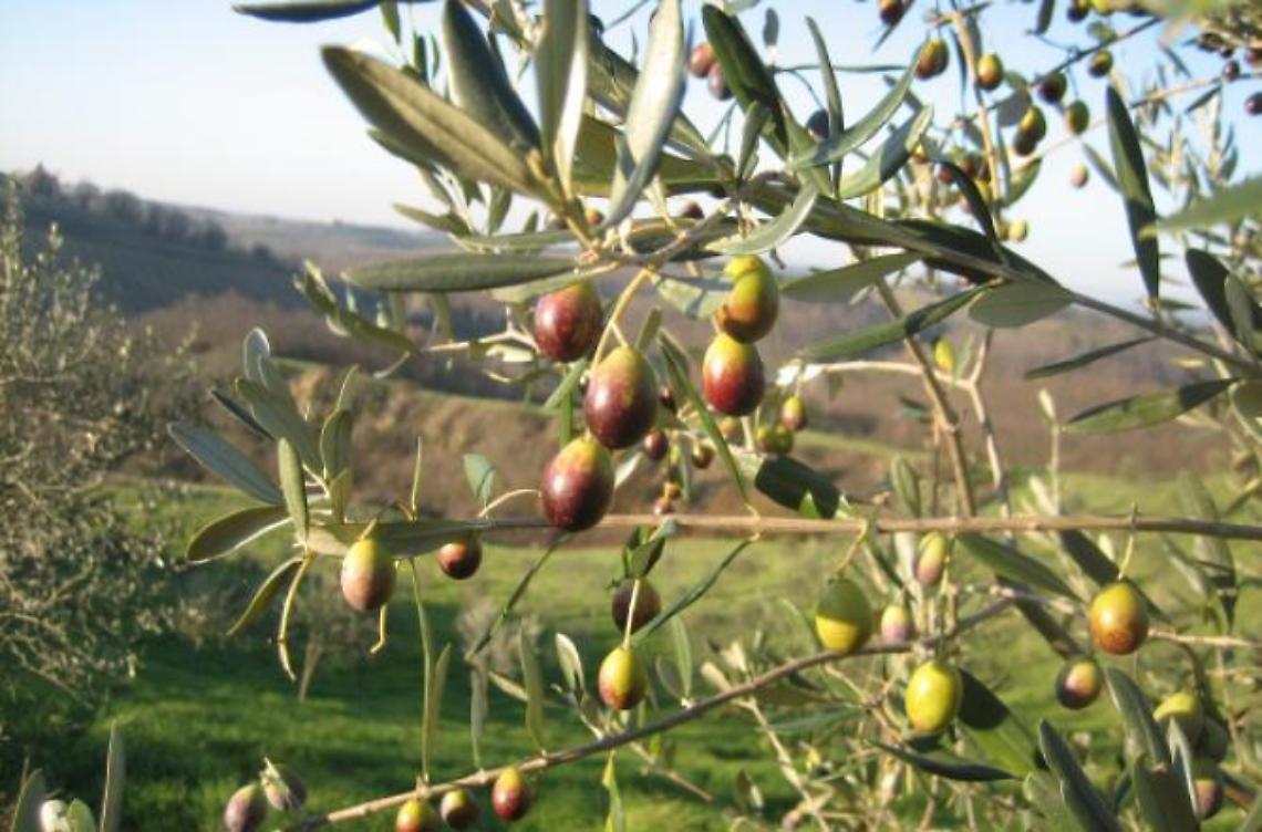 Eventi nel Lazio, ecco dove andare per una giornata fuori provincia