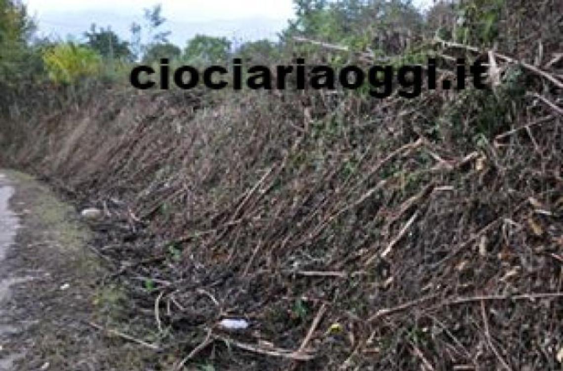 Pioggia incessante nel Cassinate<br>Strade allagate e rami spezzati