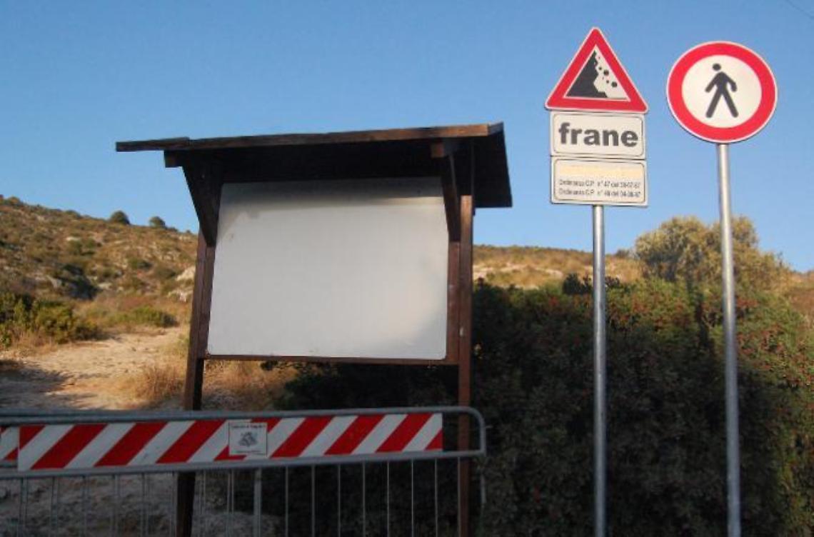 La caduta di un ulivo dietro la frana <br>che ha ucciso Giorgio Padovani