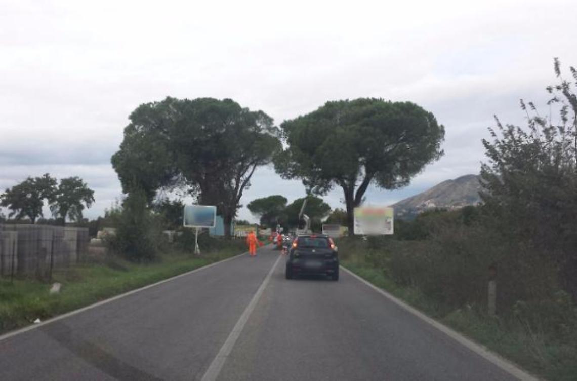 Traffico in tilt sulla Casilina <br>per la potatura degli alberi 