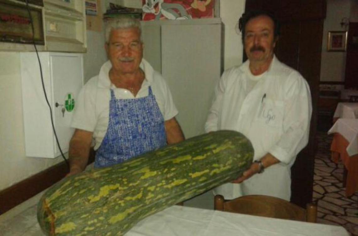 Zucca da trenta chili<br>Una produzione da record