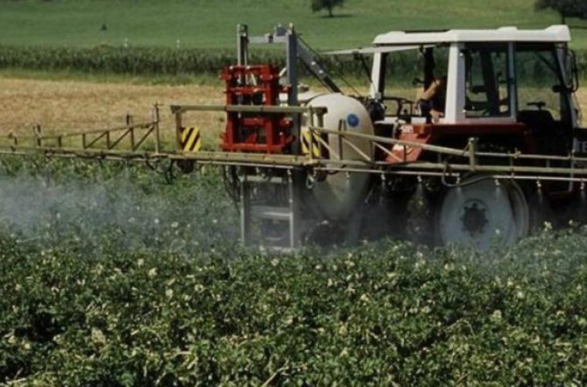 Operazione alghe avvelenate  <br>Sequestrati pesticidi tossici