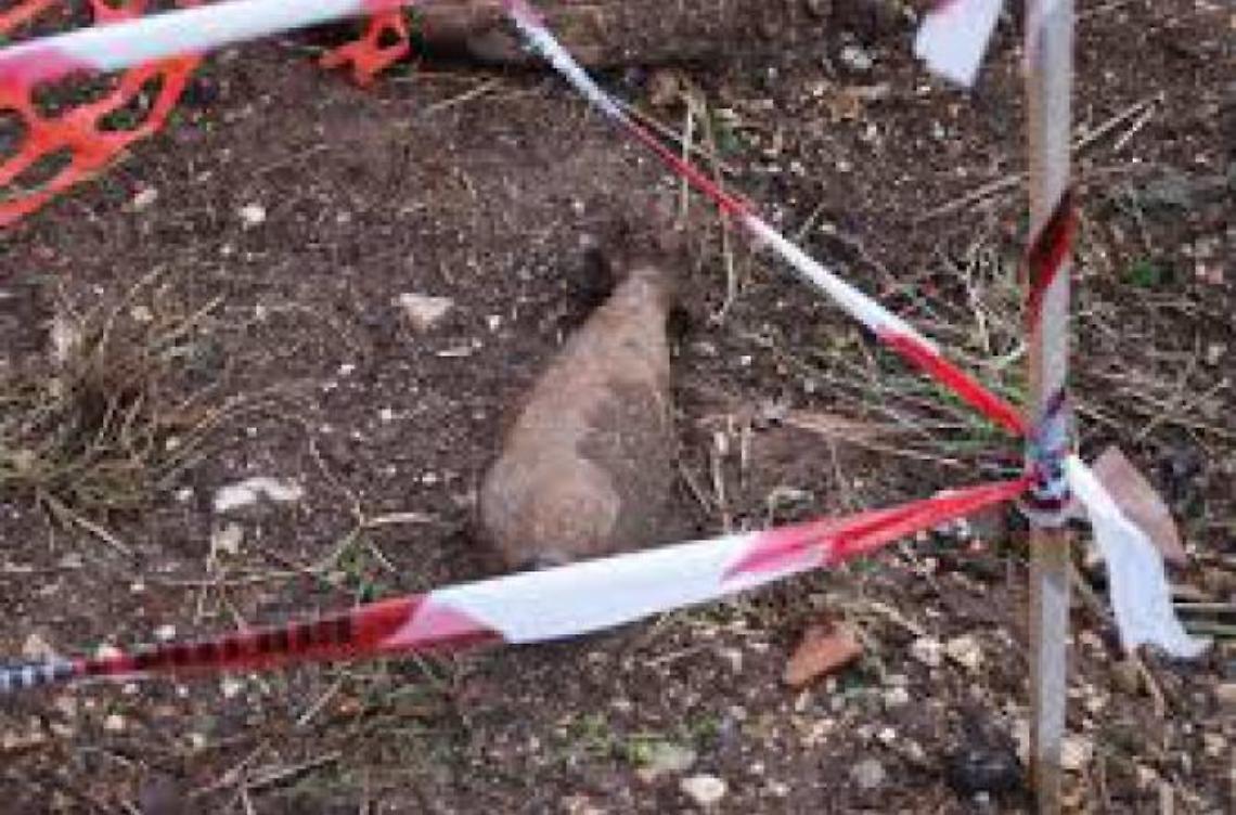 Ordigni bellici lungo la strada. Scatta l'allerta: delimitata l'area