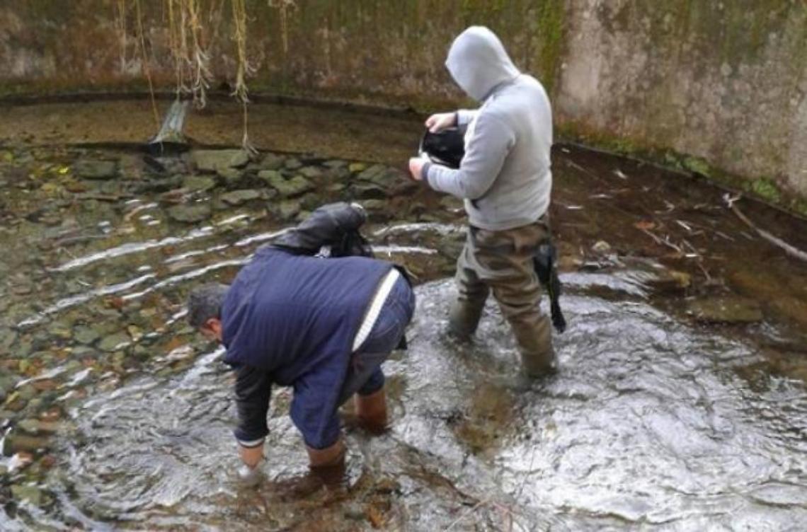 Fiume Gari nel degrado, si mobilita l'associazione "Risorgimento"