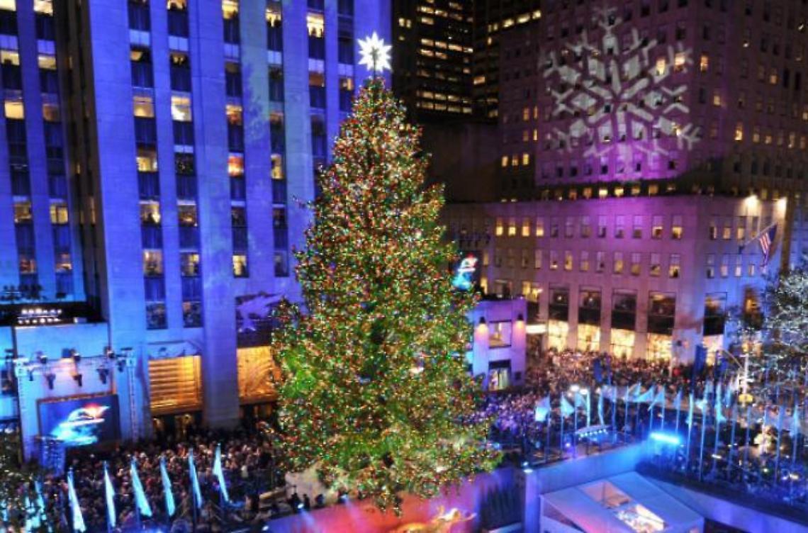L'albero di Natale più fotografato d'America ha origini ciociare 