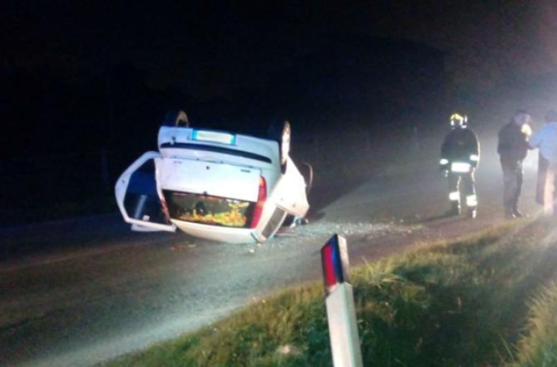 Un cinghiale taglia la strada a un'auto, ferita una donna