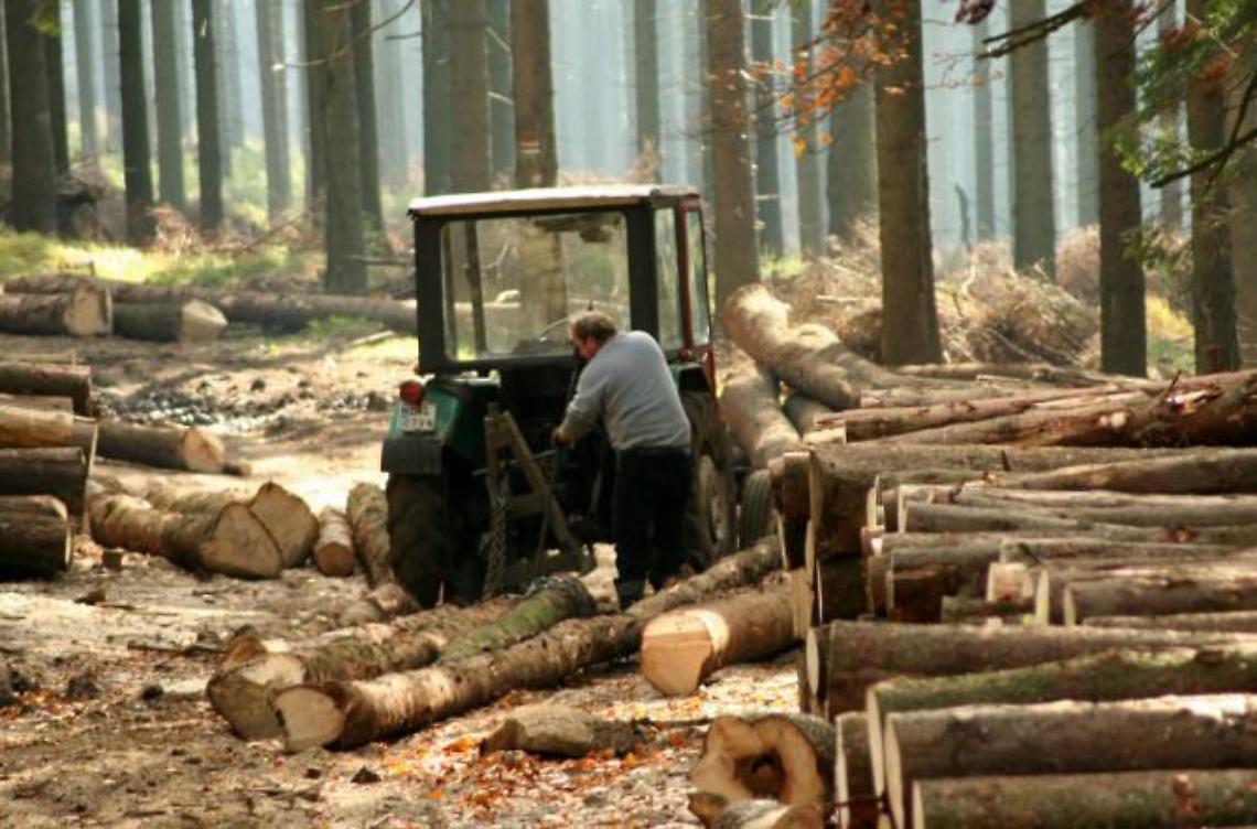 Soffocati dallo smog, ma ok all'impianto a biomasse