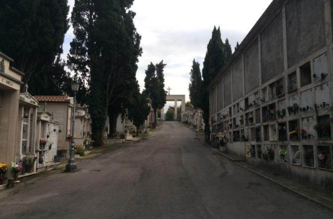 Cipressi malati al cimitero, parte l'operazione motosega