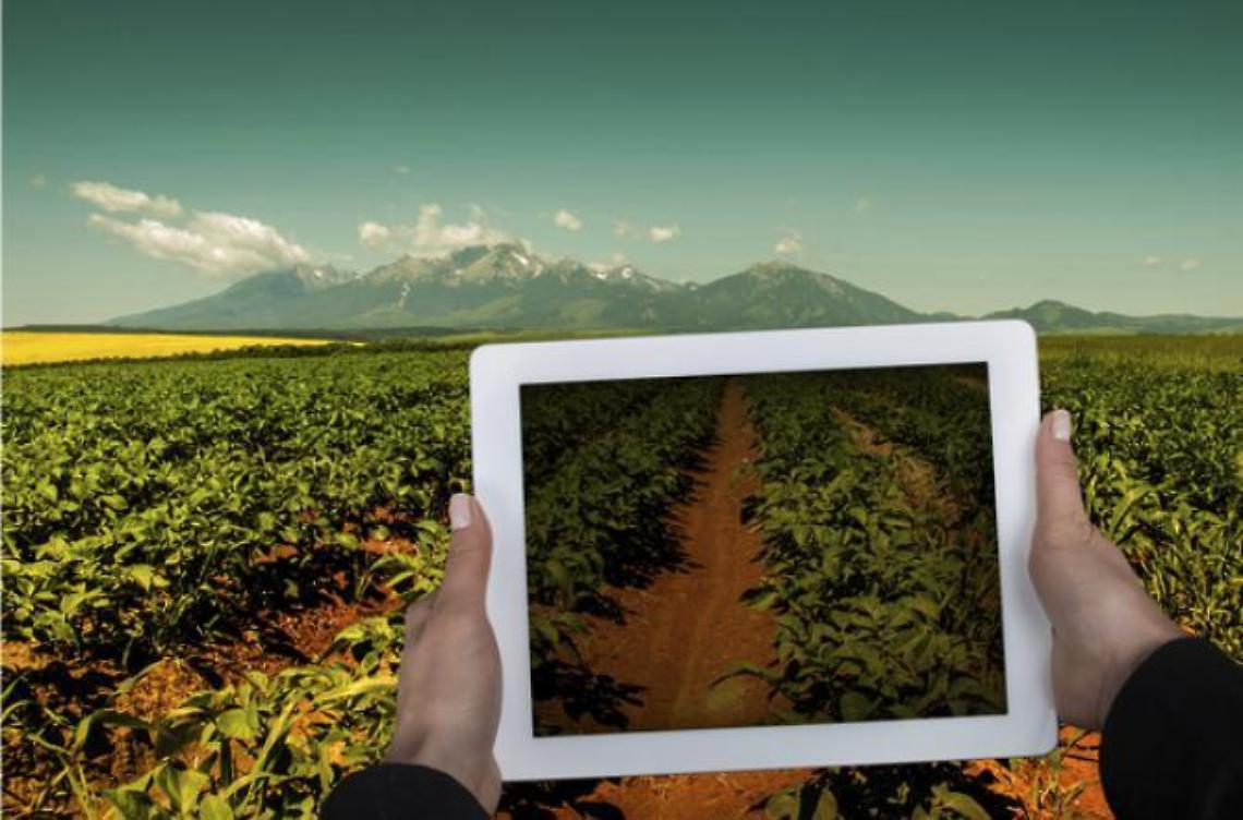 Aumentano gli under 35 che lavorano in agricoltura