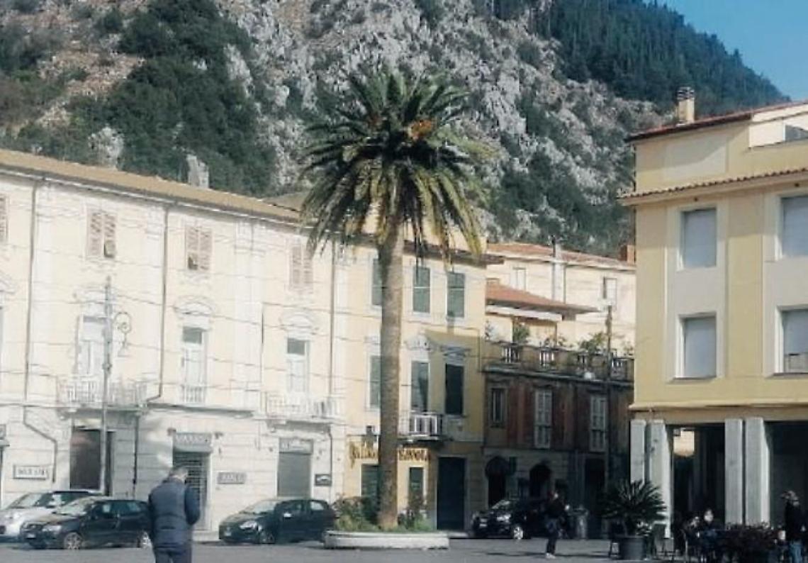 È malata, addio anche all'ultima palma: piazza Santa Restituta resta spoglia