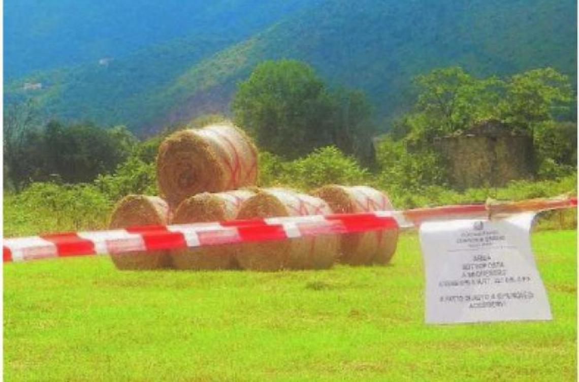 Pecore al pascolo sul Nocione: interviene la Guardia di Finanza