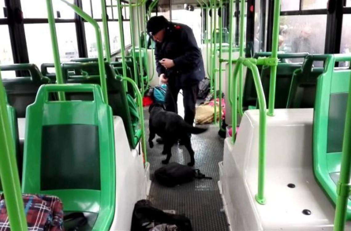 Blitz anti droga sui pullman di linea degli studenti. Trovati stupefacenti e armi
