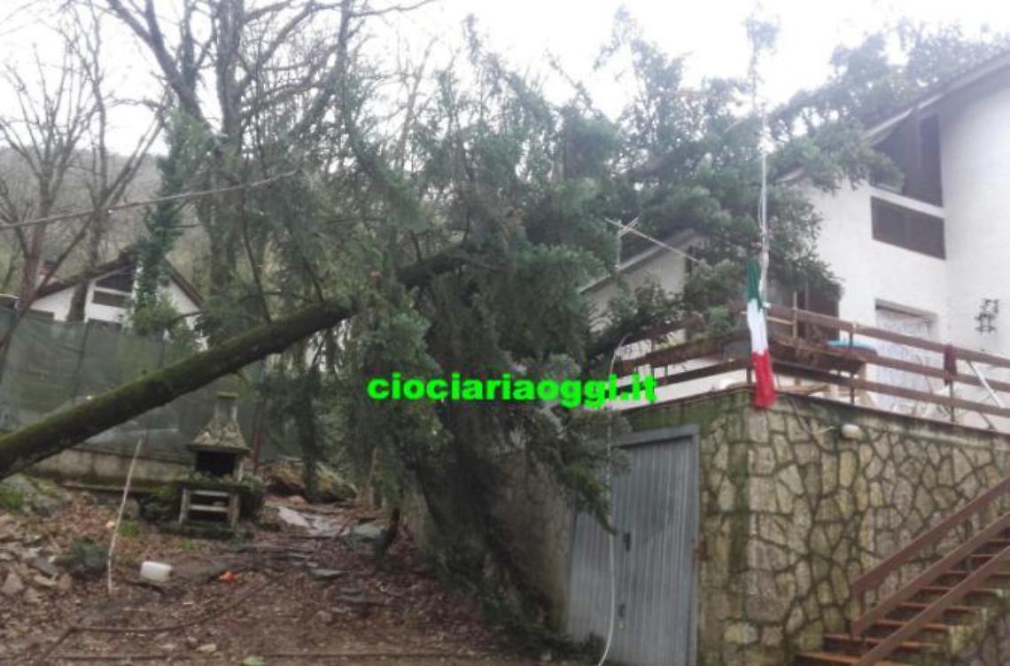 Bufera di vento e acqua: albero si abbatte su una casa. Sfiorata la tragedia