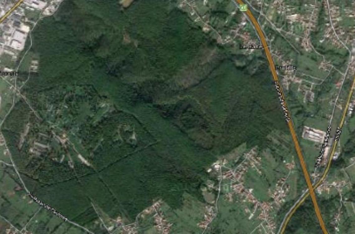 Vite a rischio in attesa di bonifica