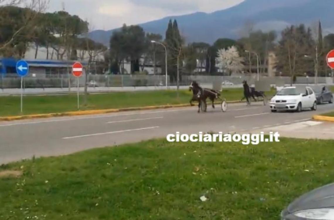 Corse clandestine alla Fiat, ecco come avvenivano le gare illegali 