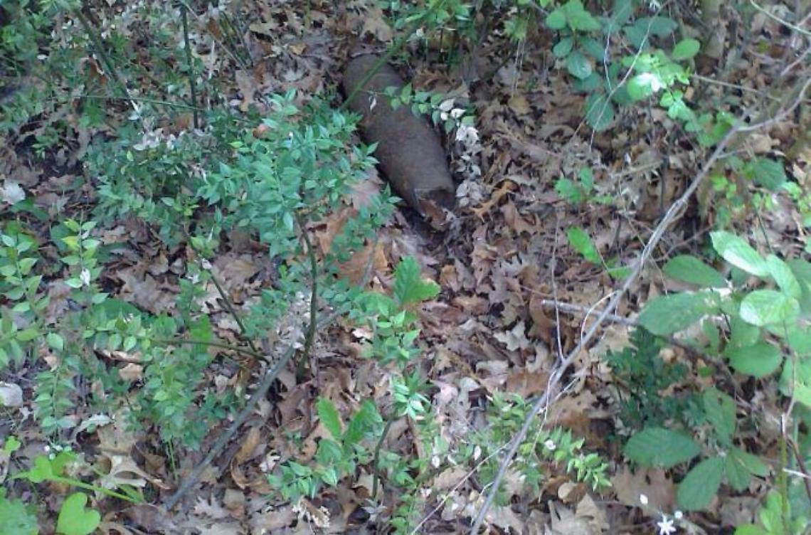 Vecchia bomba d'aereo inesplosa riaffiora dentro il bosco