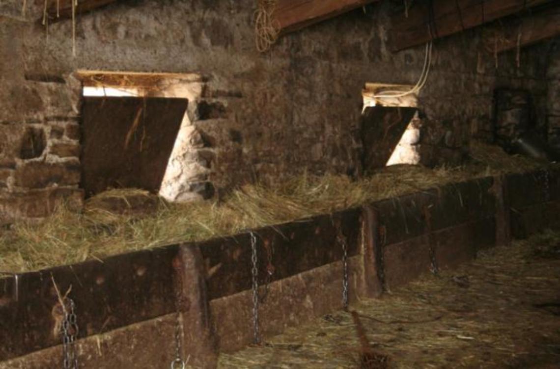 Stalla svuotata: rubate un centinaio di pecore. Ingente il valore del bottino