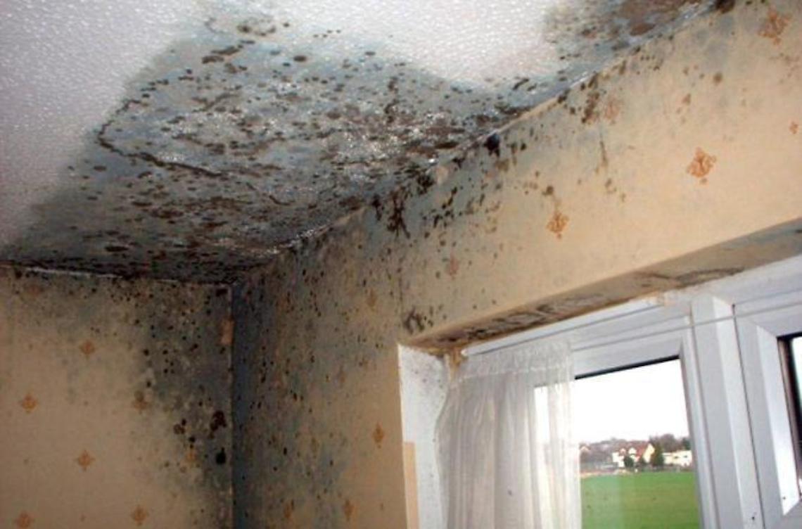 Case aggredite da umidità e muffa: scattano le ordinanze di sgombero