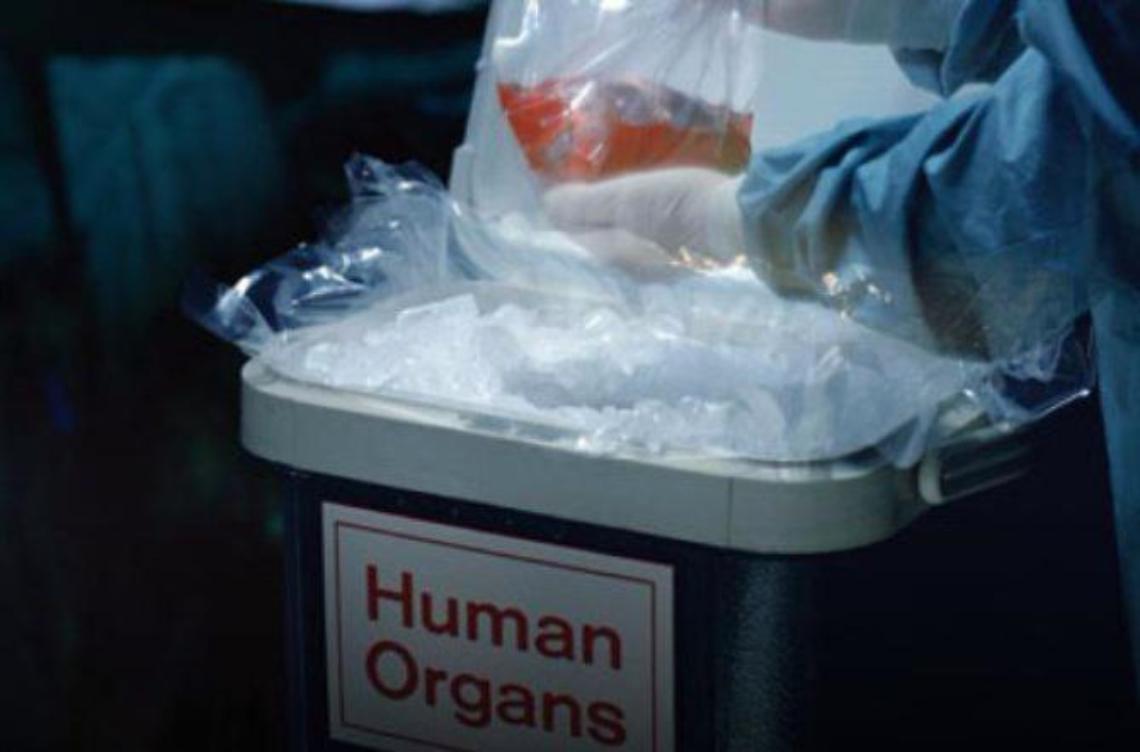 Donazione di organi e tessuti: da oggi una nuova opportunità in provincia 