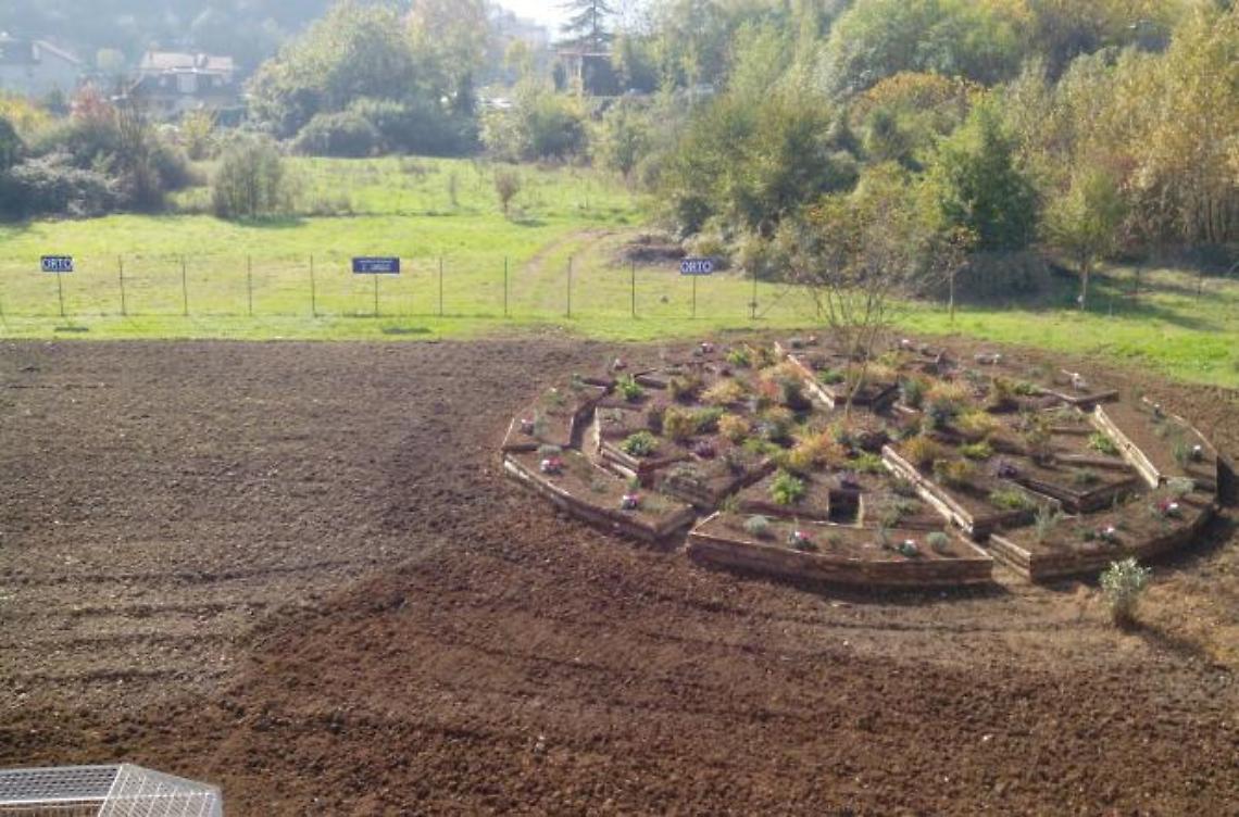 Dalla Rems scappa un altro paziente: ritrovato in un rovo