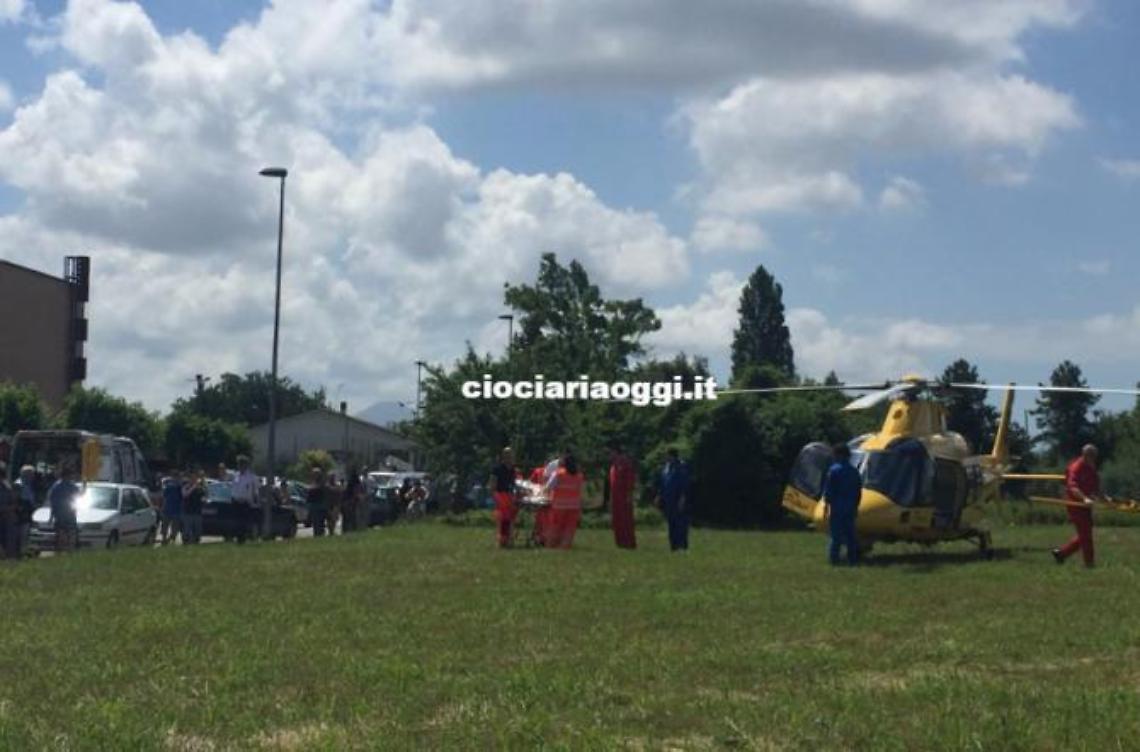 Donna cade da un albero, elitrasportata d'urgenza