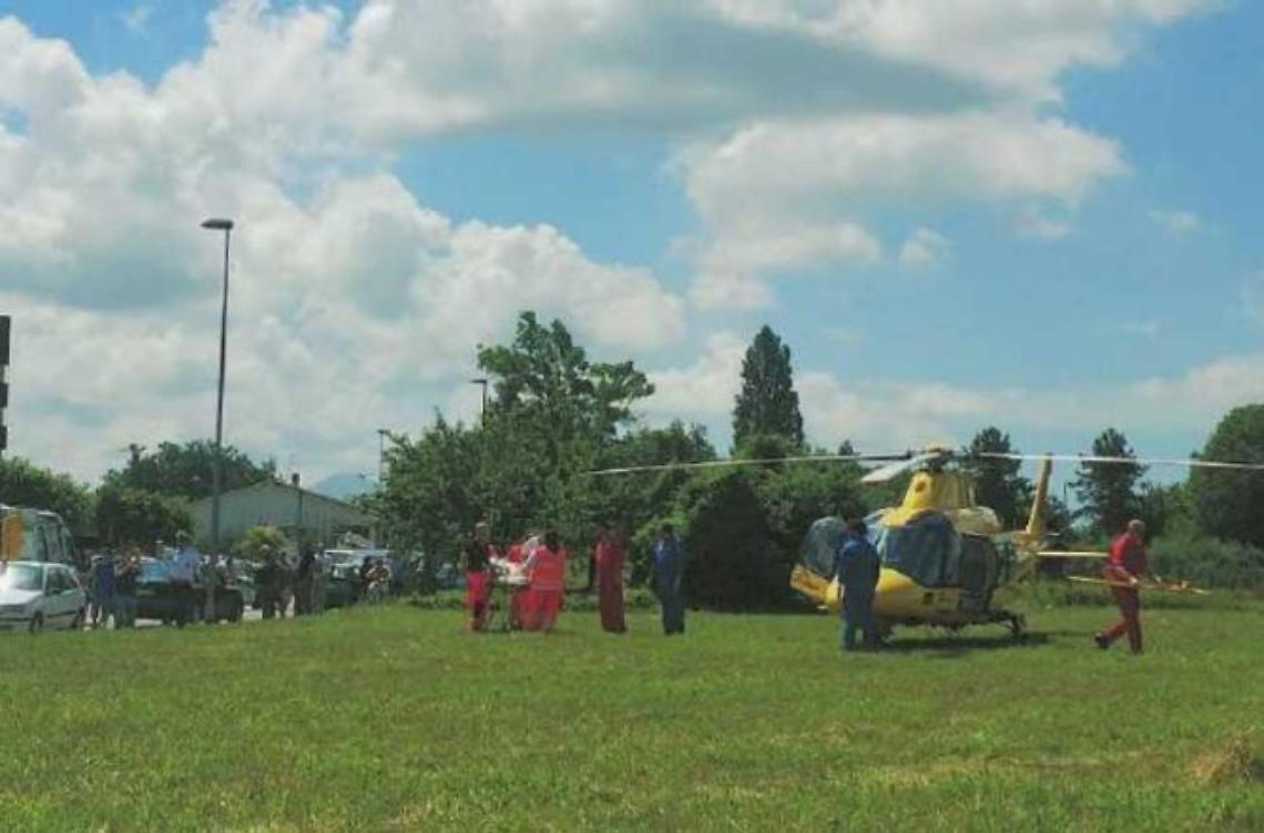 Cade violentemente da un albero: grave un'ottantenne