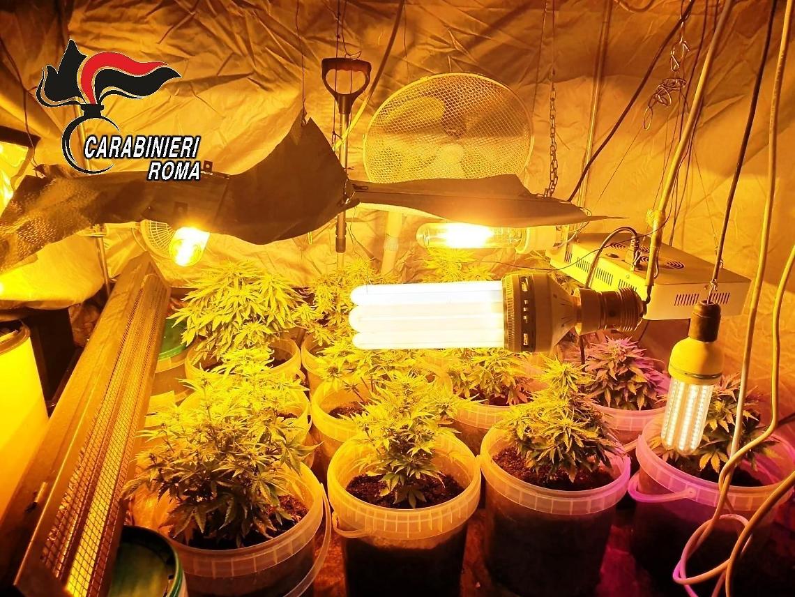 La zona rossa non ferma il mercato della droga: due pusher in manette