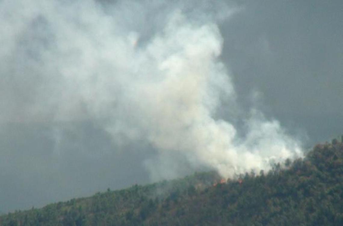 Due anni al piromane del bosco