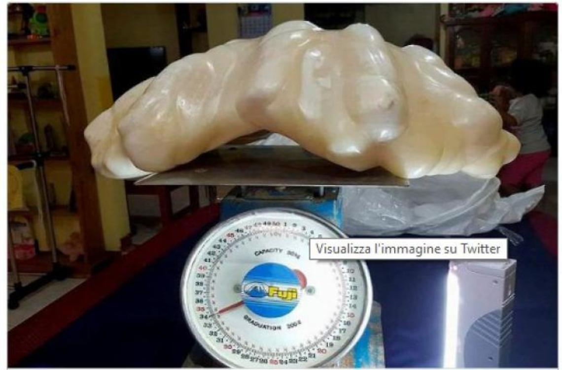 Pesca una perla gigante, la tiene in casa per anni poi la consegna. Ma valeva un "tesoro"