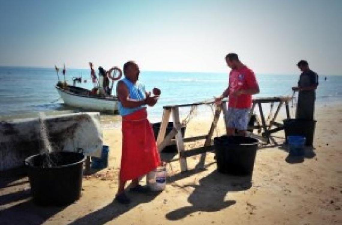 Pesce "sospetto" venduto in spiaggia: fenomeno illegale e rischi per la salute 