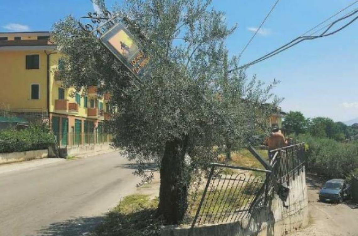 Ennesimo incidente stradale, paura davanti all'asilo. Monta la protesta