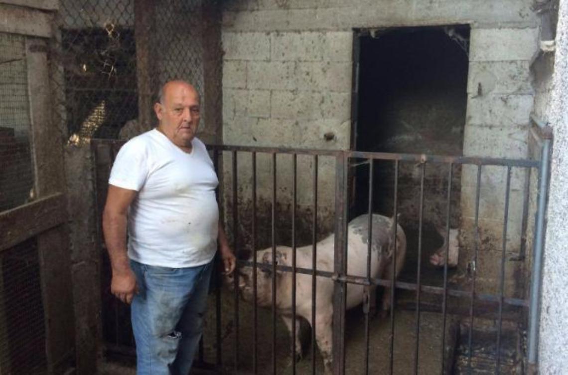 Casa e stalla senz'acqua: «Ho paura per i miei animali»