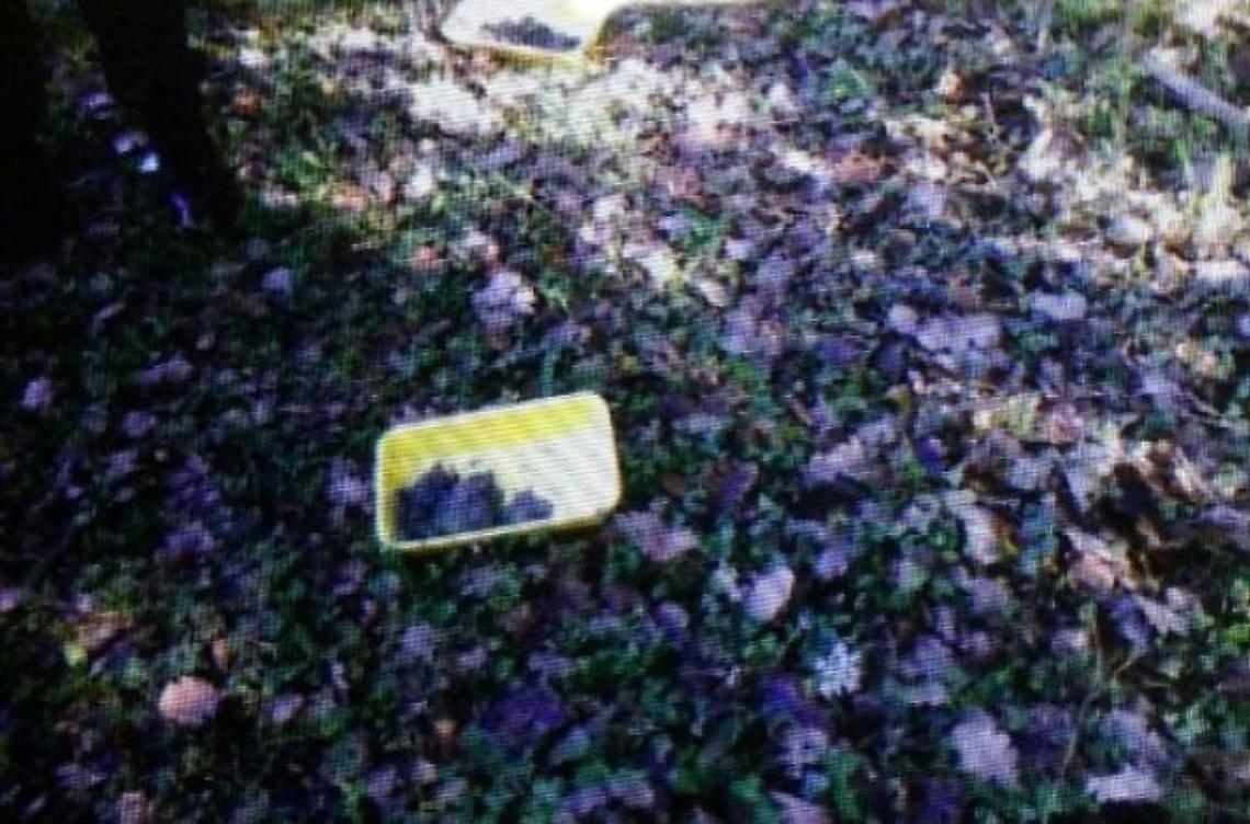 Guerra tra tartufai, la Polizia scopre 5 chili di carne avvelenata