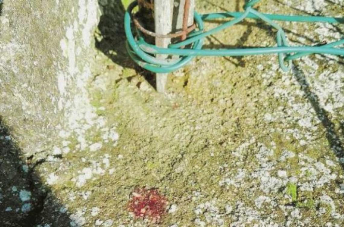Segano le inferriate e fanno incetta di oro e denaro. Allarme tra i residenti
