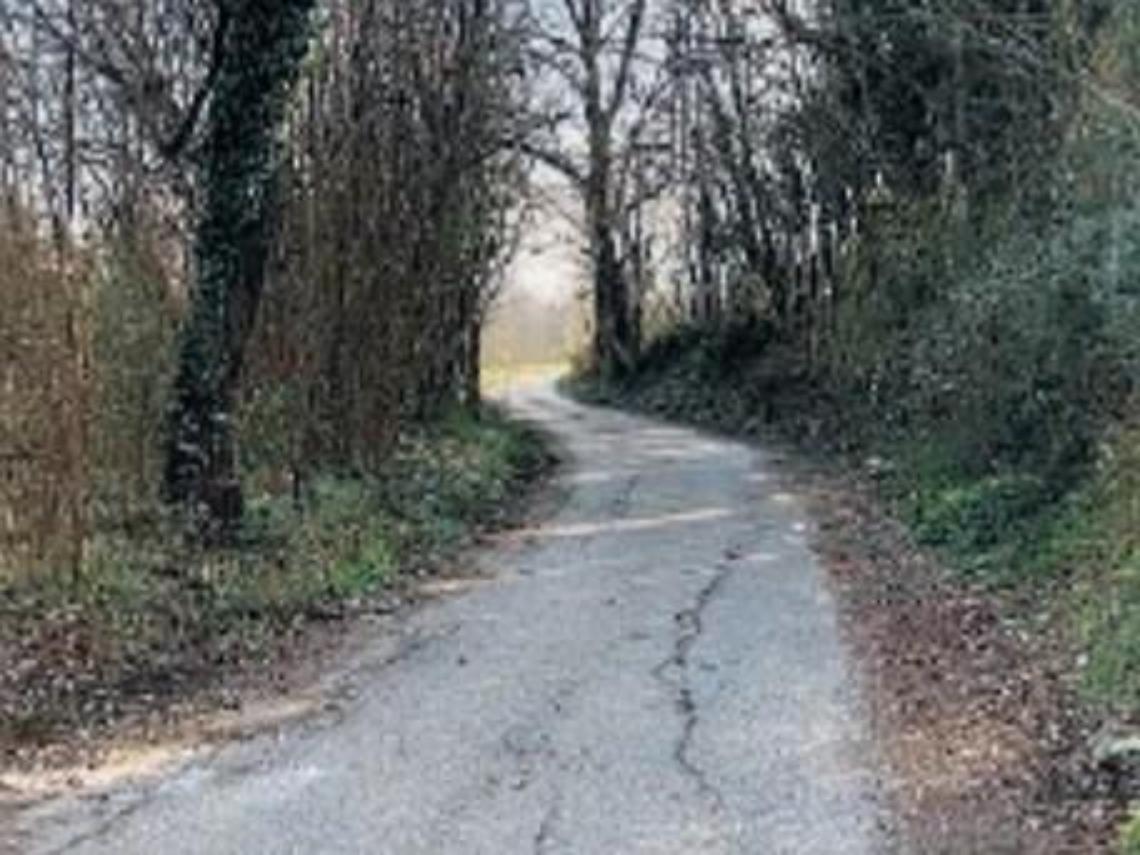 Bonificata la zona “Faio”: «L'ambiente: cuore del nostro lavoro»